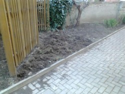 gartenprojekt2